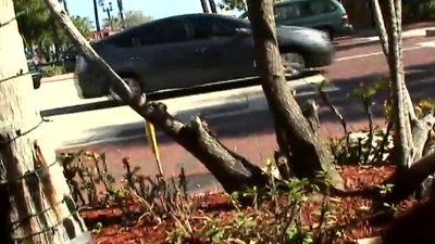 I knew i would void up with smth walking around those busy