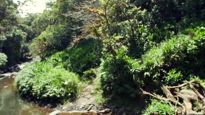 Risqu? hawt Angela bangs a board